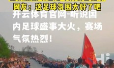 开云体育官网-听说国内足球盛事大火，赛场气氛热烈！