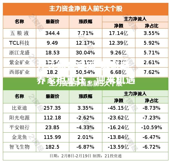 基恩斯养家担重任，迎来机遇